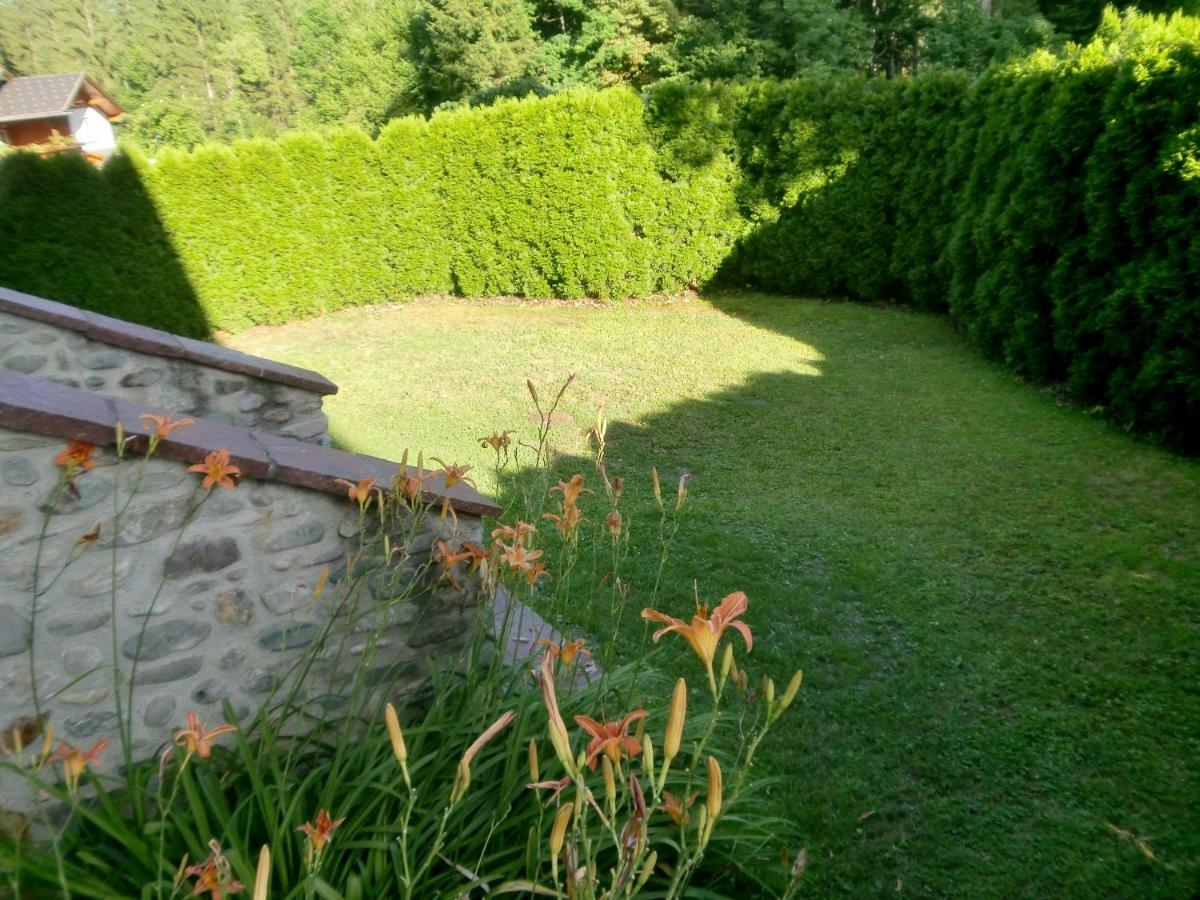 Garten- & Loggia-Appartement Herrenhaus Dellach im Drautal المظهر الخارجي الصورة